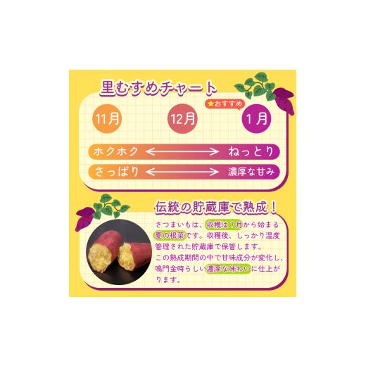 ふるさと納税 野菜類 サツマイモ 徳島県 - なると金時 里むすめ 5kg Lサイズ 1月発送 《 徳島と言えば なると金時 》 さつまいも 鳴門金時 いも 芋 焼き芋 干…の画像