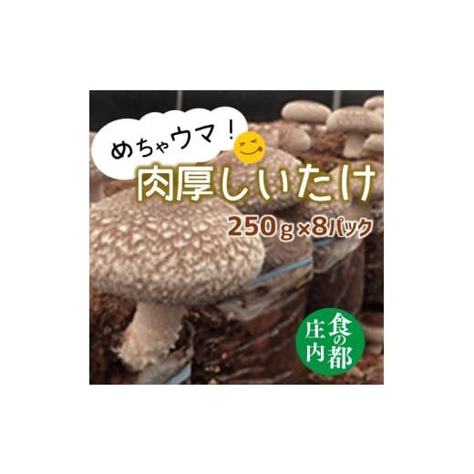 ふるさと納税 野菜類 きのこ 山形県 三川町 食の都庄内 めちゃウマ 肉厚しいたけ 期間限定 11月中旬頃より順次発送