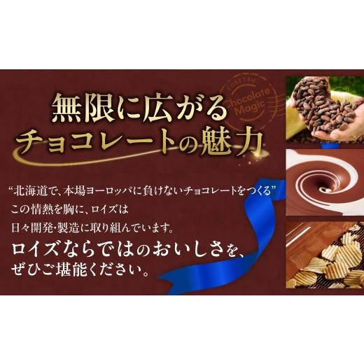 ふるさと納税 菓子 チョコレート 北海道 当別町 ROYCE'人気スイーツ