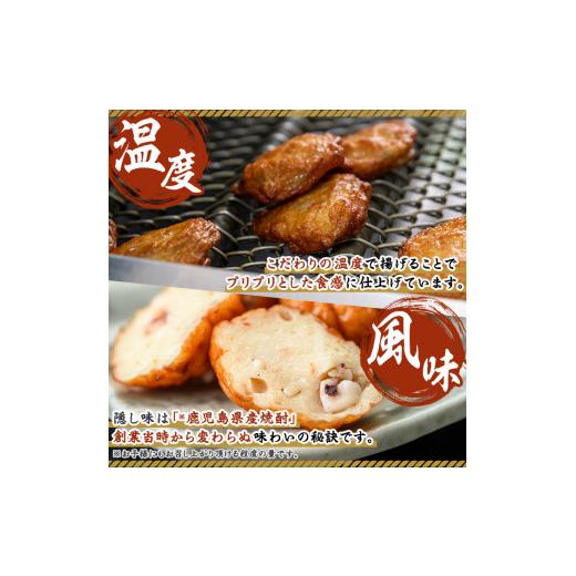 ふるさと納税 かまぼこ・練り製品 さつまあげ 鹿児島県 いちき串木野市 さつま揚げ 計67枚 7種 食べ比べ 定番から事あたらしいまで多種多様さ十分な量に詰合せ お…