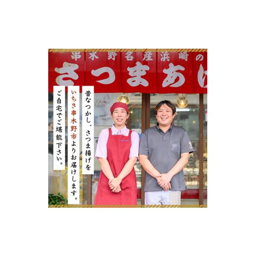 ふるさと納税 かまぼこ・練り製品 さつまあげ 鹿児島県 いちき串木野市 さつま揚げ 計67枚 7種 食べ比べ 定番から事あたらしいまで多種多様さ十分な量に詰合せ お…