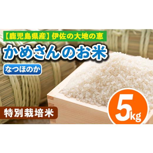 ふるさと納税 鹿児島県 伊佐市 Z9-02 かめさんのお米(5kg・なつほのか) ふるさと納税 伊佐市 特産品 伊佐米 白米 精米[Farm-K]