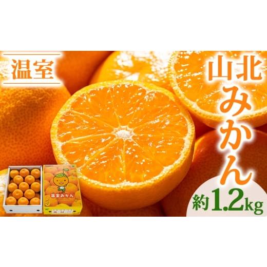 ふるさと納税 果物類 みかん 高知県 香南市  2026年発送分 みかん 小玉 大玉混合 1.2kg ブランドみかん 山北みかん ハウス 温室みかん ハウスみかん 先行受付 … |  | 01