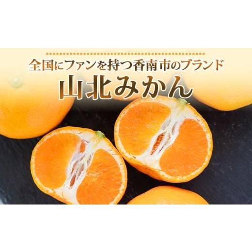 ふるさと納税 果物類 みかん 高知県 香南市  2026年発送分 みかん 小玉 大玉混合 1.2kg ブランドみかん 山北みかん ハウス 温室みかん ハウスみかん 先行受付 … |  | 02