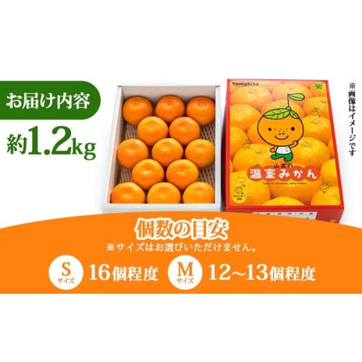 ふるさと納税 果物類 みかん 高知県 香南市  2026年発送分 みかん 小玉 大玉混合 1.2kg ブランドみかん 山北みかん ハウス 温室みかん ハウスみかん 先行受付 … |  | 05