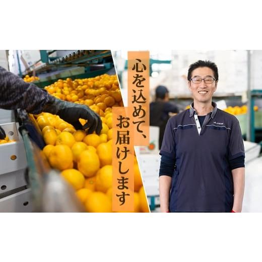 ふるさと納税 果物類 みかん 高知県 香南市  2026年発送分 みかん 小玉 大玉混合 1.2kg ブランドみかん 山北みかん ハウス 温室みかん ハウスみかん 先行受付 … |  | 06