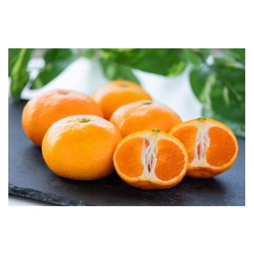 ふるさと納税 果物類 みかん 高知県 香南市  2026年発送分 みかん 小玉 大玉混合 1.2kg ブランドみかん 山北みかん ハウス 温室みかん ハウスみかん 先行受付 … |  | 07