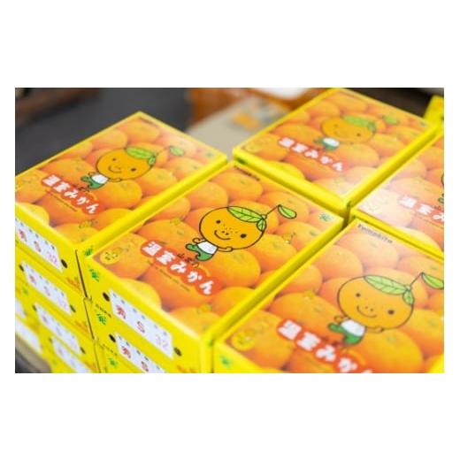 ふるさと納税 果物類 みかん 高知県 香南市  2026年発送分 みかん 小玉 大玉混合 1.2kg ブランドみかん 山北みかん ハウス 温室みかん ハウスみかん 先行受付 … |  | 08