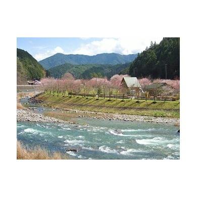 ふるさと納税 岐阜県 東白川村 清流白川の宿 宿泊割引券 10000円 一万円