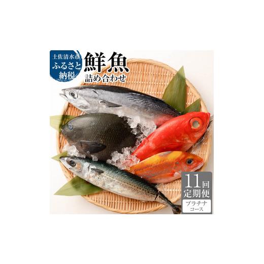 ふるさと納税 旬の鮮魚等 高知県 土佐清水市 \u003c11回定期便\u003e 季節の鮮魚 おまかせお楽しみセット （プラチナコース）鮮魚 ボックス 詰め合わせ 天然魚 食…_1
