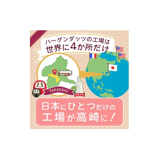 ふるさと納税 菓子 アイス 群馬県 高崎市  16B001  ハーゲンダッツ／バラエティセットの画像