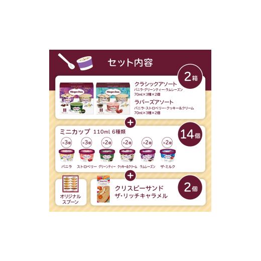 ふるさと納税 菓子 アイス 群馬県 高崎市  16B001  ハーゲンダッツ／バラエティセットの画像