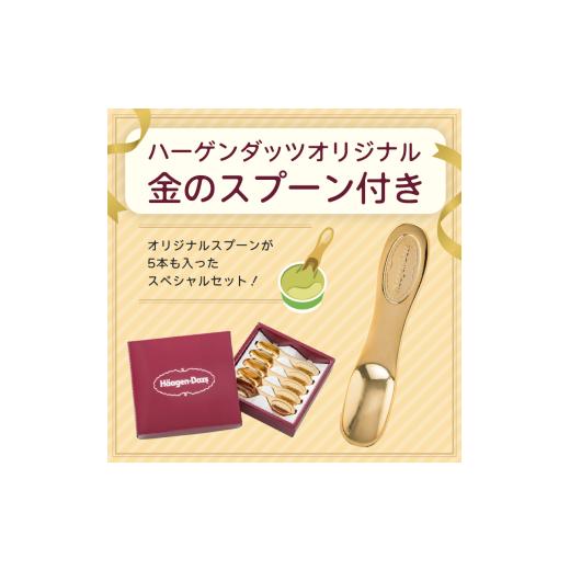 ふるさと納税 菓子 アイス 群馬県 高崎市  16B001  ハーゲンダッツ／バラエティセットの画像