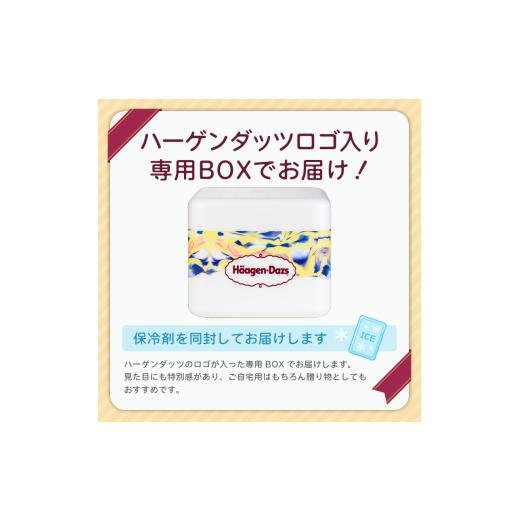 ふるさと納税 菓子 アイス 群馬県 高崎市  16B001  ハーゲンダッツ／バラエティセットの画像