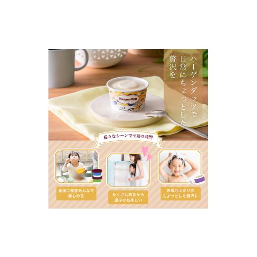 ふるさと納税 菓子 アイス 群馬県 高崎市  16B001  ハーゲンダッツ／バラエティセットの画像