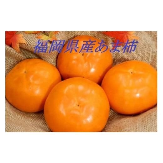 ふるさと納税 果物類 柿 福岡県 飯塚市 青果市場厳選 「冷蔵」あま柿 2026年1月から発送開始分先行予約