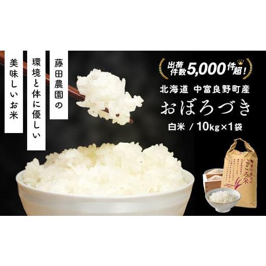 ふるさと納税 北海道 中富良野町 [2024年度米]お米おぼろづき 10kg(精米) 精米