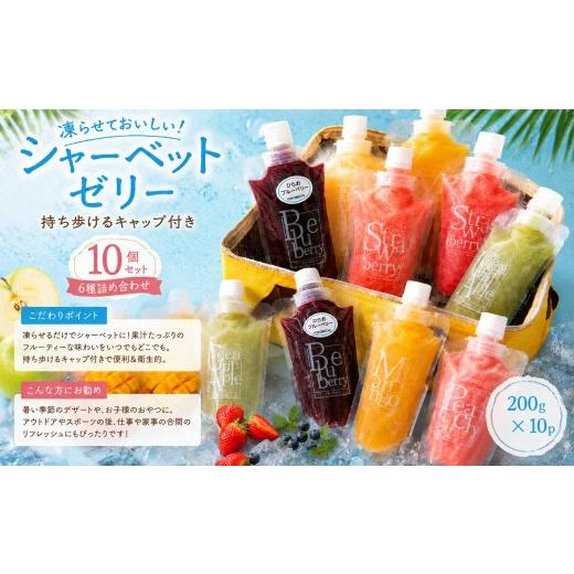 ふるさと納税 アイス・ヨーグルト 山口県 平生町 シャーベットゼリー キャップ付きパウチ入り 10個セット c10-3 10個セット | 17.200円