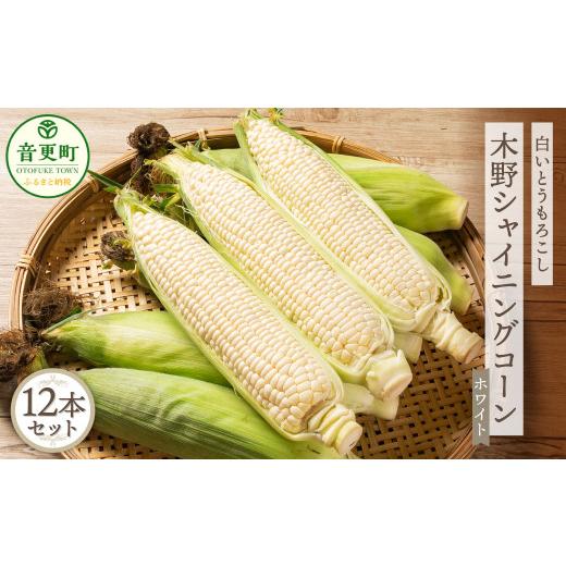 ふるさと納税 とうもろこし 北海道 音更町 [先行受付]北海道十勝産 木野シャイニングコーン12本セット A15 2026年8月中旬頃より順次発送