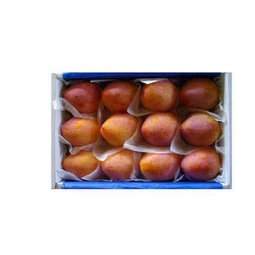 ふるさと納税 もも 山梨県 甲州市 JAフルーツ山梨 甲州市産 月光 10〜15玉 60 2026年発送 D-101 すもも 桃 もも モモ 令和8年発送 期間限定 山梨県産 甲州市 …