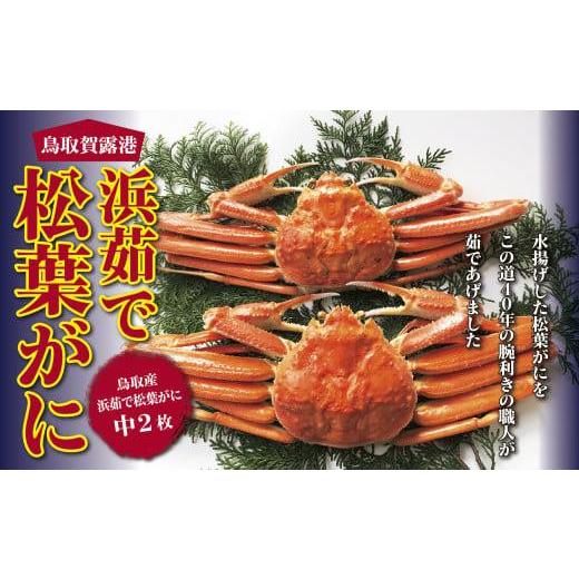 ふるさと納税 カニ 松葉ガニ 鳥取県 鳥取市 鳥取賀露港 浜茹で松葉がに かねまさ・浜下商店_1