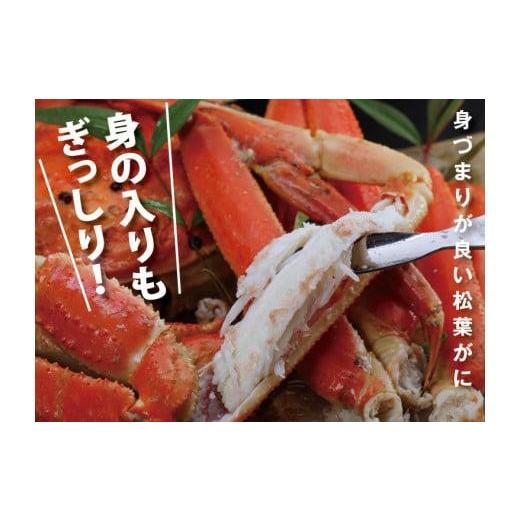 ふるさと納税 カニ 松葉ガニ 鳥取県 鳥取市 鳥取賀露港 浜茹で松葉がに かねまさ・浜下商店_3