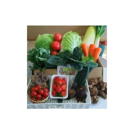 ふるさと納税 セット・詰合せ 群馬県 前橋市 通常便 赤城南麓で育った季節の野菜 | 野菜 野菜セット 新鮮 旬野菜 朝どれ 農家直送 旬 鮮度 赤城山麓 群馬野菜…