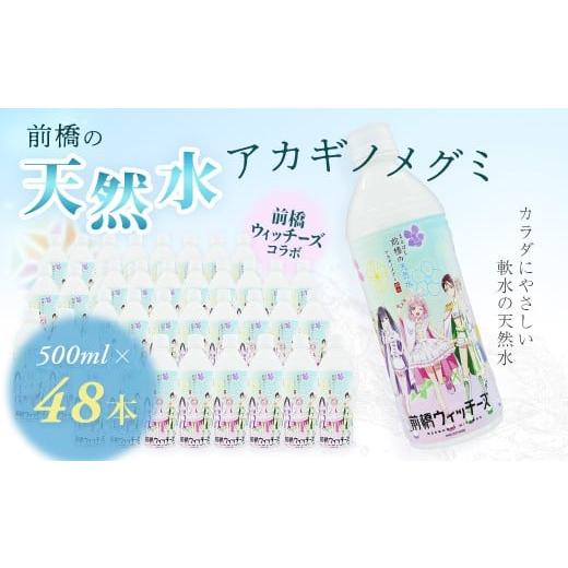 ふるさと納税 水・ミネラルウォーター 500mL〜999mL 群馬県 前橋市 水 ミネラルウォーター 前橋ウィッチーズラベル 500ml 24本×2箱 48本 合計24L | 飲料水 み…