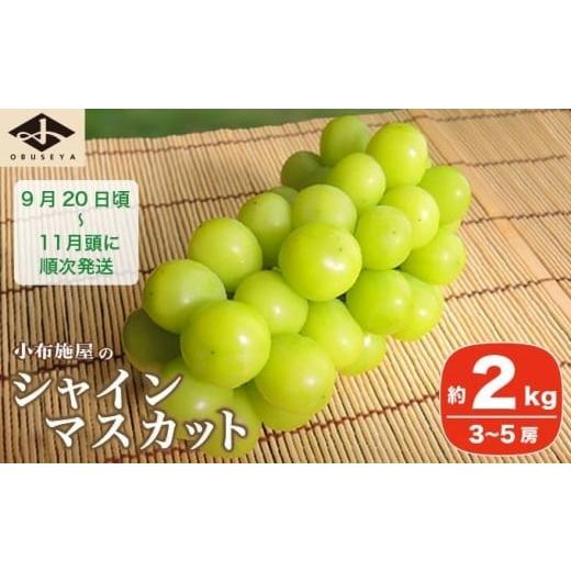 ふるさと納税 ぶどう マスカット 長野県 小布施町 シャインマスカット 約2kg 3〜5房 [小布施屋] フルーツ 果物 くだもの ぶどう 葡萄 ブドウ 数量限定 クー…