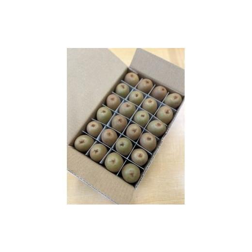 ふるさと納税 果物類 香川県 善通寺市 善通寺市産「キウイのたまご」24玉 約1.1kg