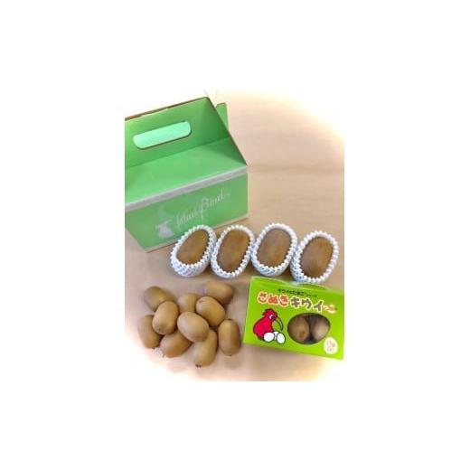 ふるさと納税 果物類 香川県 善通寺市 善通寺市産キウイ詰合せ?