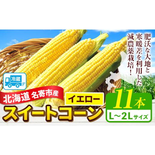 ふるさと納税 とうもろこし 北海道 名寄市 2026年出荷 北海道 名寄産 スイートコーン イエロー L〜2Lサイズ 11本 [2026年8月中旬-9月中旬頃出荷] NPO法人な…