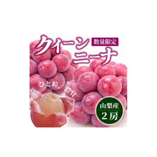 ふるさと納税 ぶどう 山梨県 山梨市 数量限定 希少 赤い宝石 『クイーンニーナ』 2房 山梨のぶどう クインニーナ 1041056