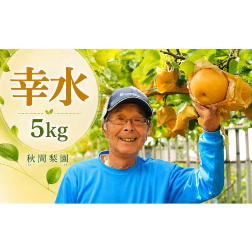 ふるさと納税 梨 埼玉県 宮代町 先行予約 秋間梨園の梨(幸水)5kg | 幸水 こうすい コウスイ 梨 なし ナシ 秀品 贈答 産地直送 農家直送 数量限定 期間限定 …