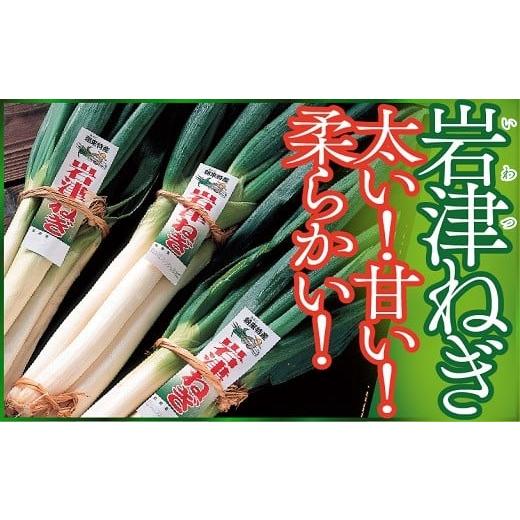 ふるさと納税 野菜類 ねぎ 兵庫県 朝来市 先行予約 朝来市特産 岩津ねぎ 3kg(箱入り) 先行予約 岩津ねぎ 岩津ネギ 新鮮 国産 甘い 太い 柔らかい 香り豊か …