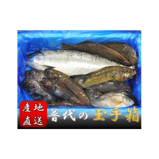 ふるさと納税 岩手県 普代村 [新鮮・産地直送]普代の玉手箱[魚介詰め合わせ]