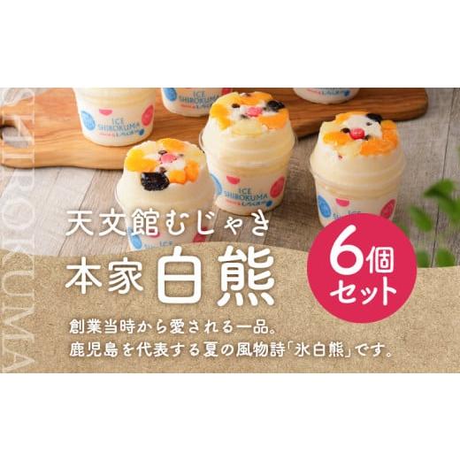 ふるさと納税 菓子 アイス 鹿児島県 鹿児島市 天文館むじゃき　本家白熊6個セット　K009-001_2