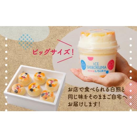 ふるさと納税 菓子 アイス 鹿児島県 鹿児島市 天文館むじゃき　本家白熊6個セット　K009-001_4