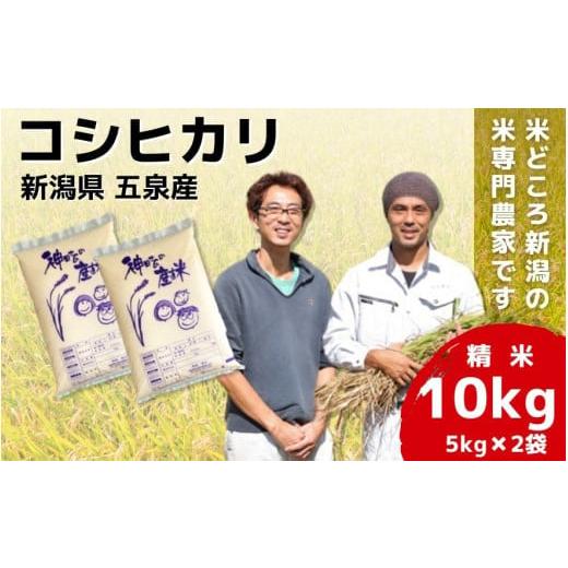 ふるさと納税 米 コシヒカリ 新潟県 五泉市 令和7年産 新米 米 10kg ( 5kg × 2袋 ) 五泉産 コシヒカリ | 白米 精米 こしひかり お米 おこめ コメ こめ 新潟県…