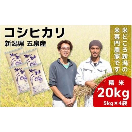 ふるさと納税 米 コシヒカリ 新潟県 五泉市 令和7年産米 「わくわく農場」の五泉産コシヒカリ 精米 20kg(5kg×4袋)新潟県 五泉市 わくわく農場