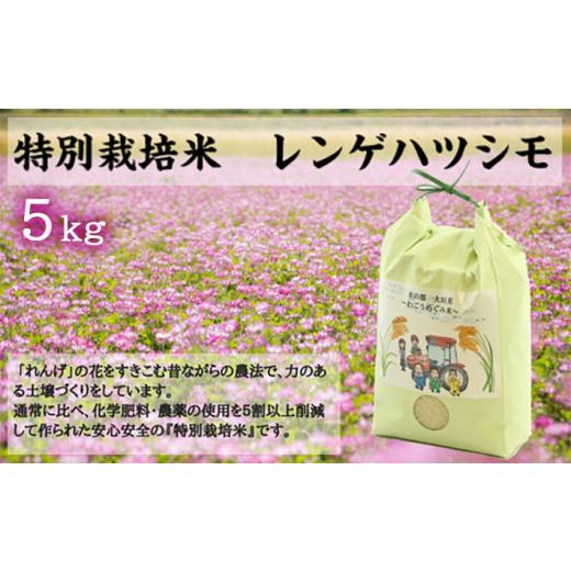 ふるさと納税 米 岐阜県 大垣市 令和7年産 5kg 水の都 大垣米 わごうめぐみ米 特別栽培米レンゲハツシモ ごはん 白米 精米 人気 美味しい 初霜 コシヒカリ の…