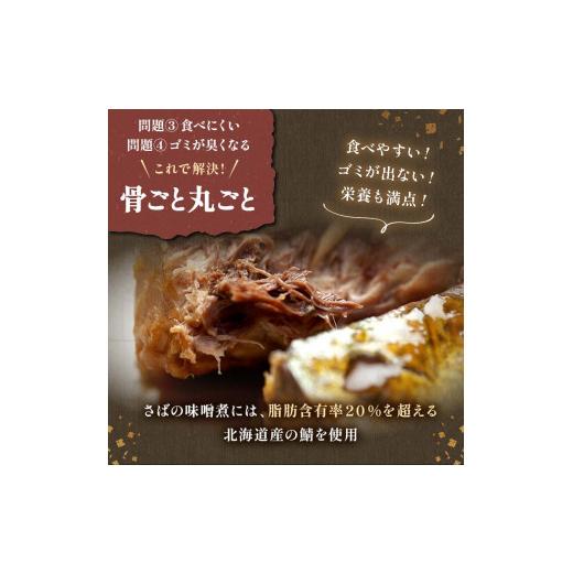 ふるさと納税 魚貝類 北海道 釧路市 釧路おが和 北の煮魚セット セット 常温保存 小分け 常温 北海道 北海道産 備蓄 海鮮 海産 魚 煮魚 F4F-2470_6