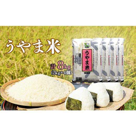 ふるさと納税 島根県 雲南市 神話の里/吉田町「うやま米」コシヒカリ 8kg(2kg×4)[島根県産 雲南市産 ブランド米 米 お米 白米 コメ こめ おこめ ライス …