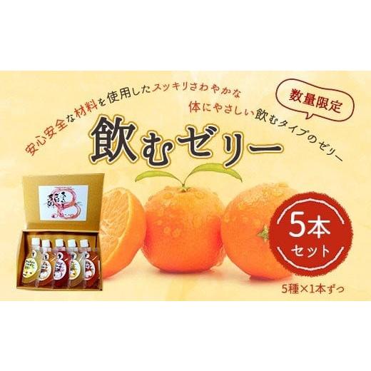 ふるさと納税 熊本県 宇城市 飲むゼリー 5本セット(5種類×1本)果汁50% 柑橘 数量限定