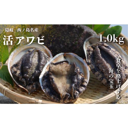 ふるさと納税 魚貝類 アワビ 島根県 西ノ島町 島獲れ天然活アワビ 約1キロセット 離島が誇る極上アワビを食卓へ 栄養満点な昆布を食べて育つとっても美味しい…