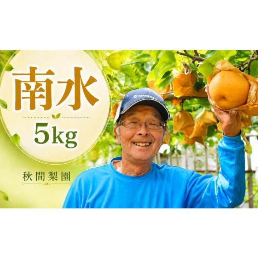 ふるさと納税 梨 埼玉県 宮代町 先行予約 秋間梨園の梨(南水)5kg | 南水 なんすい ナンスイ 梨 なし ナシ 秀品 贈答 産地直送 農家直送 数量限定 期間限定 …