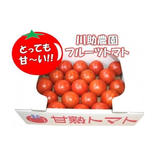 ふるさと納税 トマト 愛知県 津島市  2026年5月以降順次発送分 とっても甘〜い 川助農園のフルーツトマト1kg以上（最大糖度16.1度 ）_1