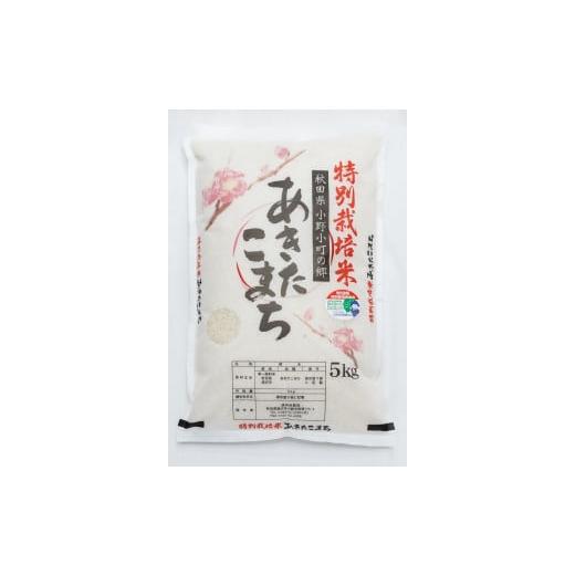 ふるさと納税 米 あきたこまち 秋田県 湯沢市 令和7年産米 小野小町の郷 特別栽培米 あきたこまち 5kg×1袋 ふるさと納税 秋田 米 あきたこまち お米 遠田米…