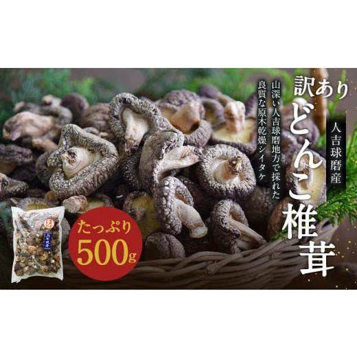 ふるさと納税 熊本県 人吉市 人吉球磨産 しいたけ 訳あり『どんこ』 椎茸 500g