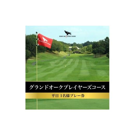 ふるさと納税 ゴルフ場利用券 兵庫県 加東市 グランドオーク プレイヤーズコース 平日 1名様 プレー券 ゴルフ 加東市 兵庫県 関西 ゴルフ場